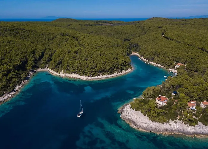 Rosada Willa Vela Luka